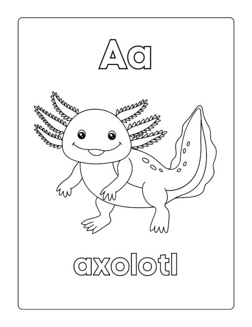 Animal Coloring Activity Book for Kids