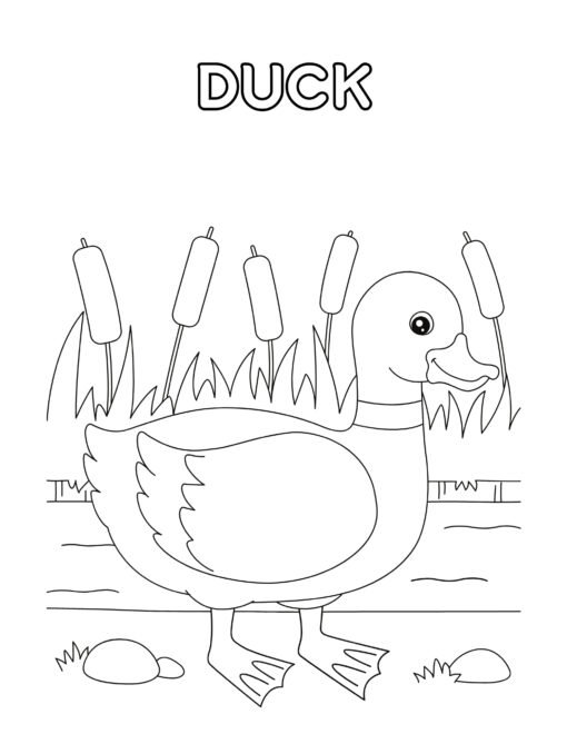 Coloring Book For Kids - Image 5