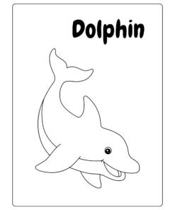 Animal Coloring Activity Book for Kids