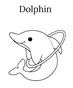 Animals Name Book