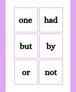 Sight Words Flashcards Activity Book