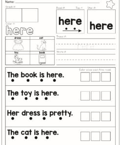 Sight Words Fluency and Science of Reading Activity Book