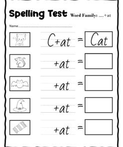 Spelling-Test-Paper-for-Early-Writers-Word-Families-Included