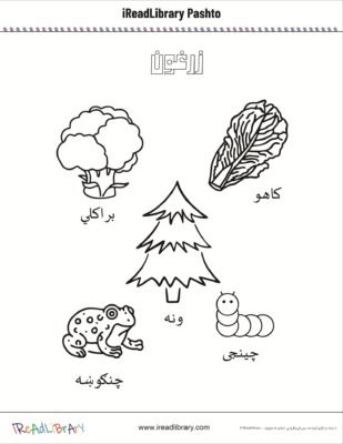 www,ireadlibrary.com